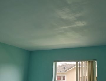 FL Remodeling Services Paint (31)